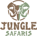 Jungle Safari